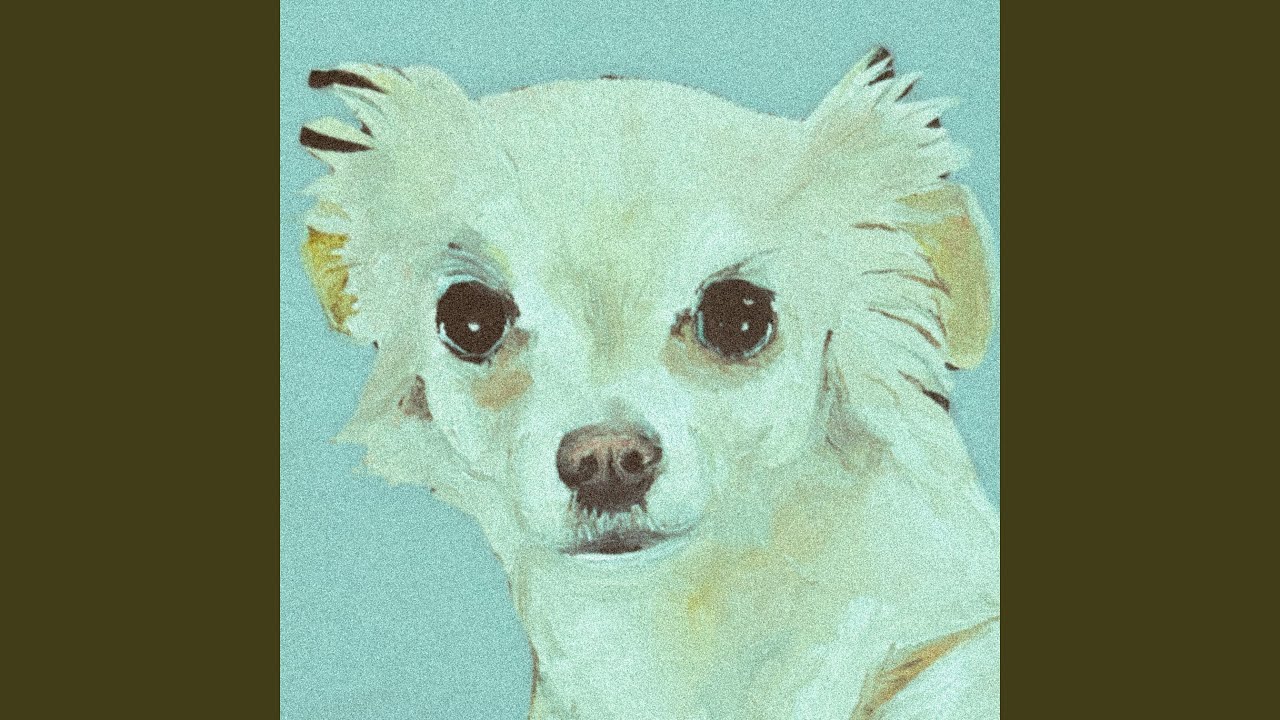 Dulce Perro