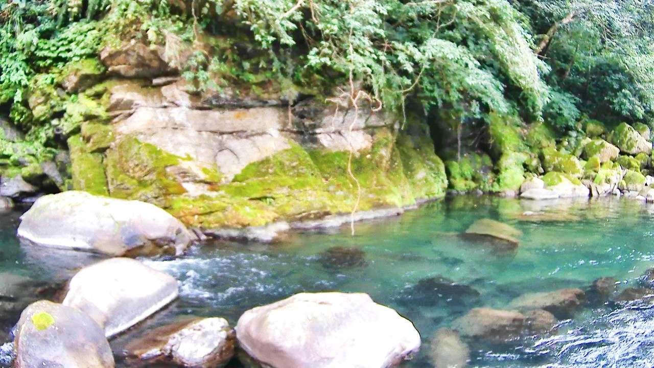 最近收到很多粉絲釣友ㄉ訊息  很多地方都苦花大咬 要我去試試