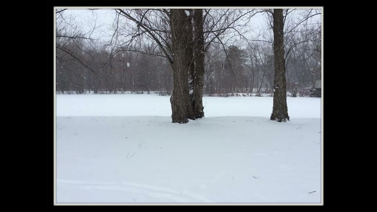 Przerwa na kawę.. Naprawdę miałeś cudowne życie.