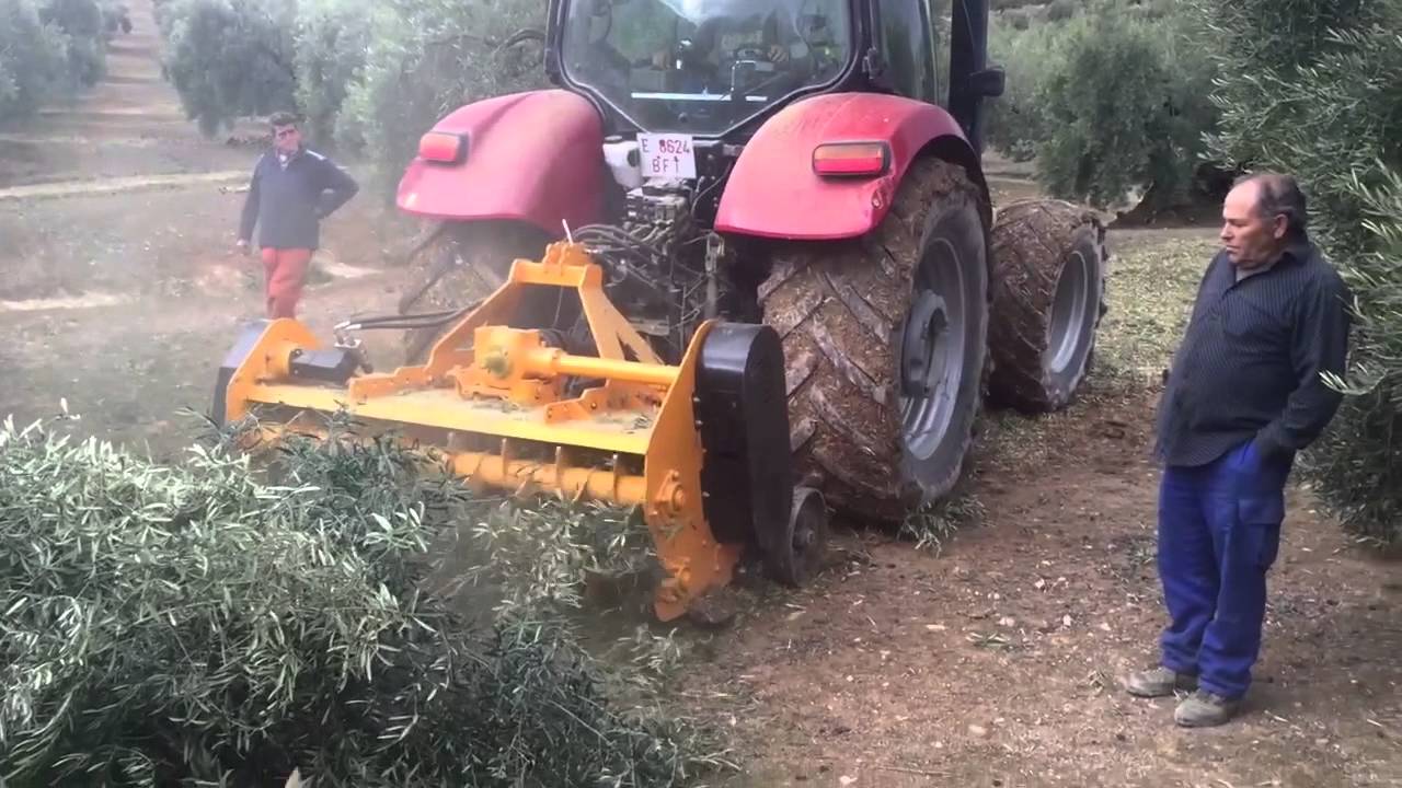 Trituradora Faster Lopez Garrido  tractor Case