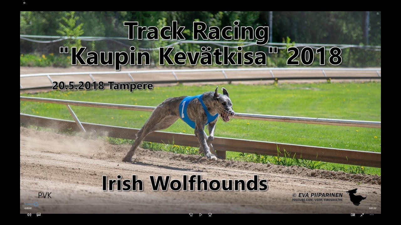 Track Racing Competition 