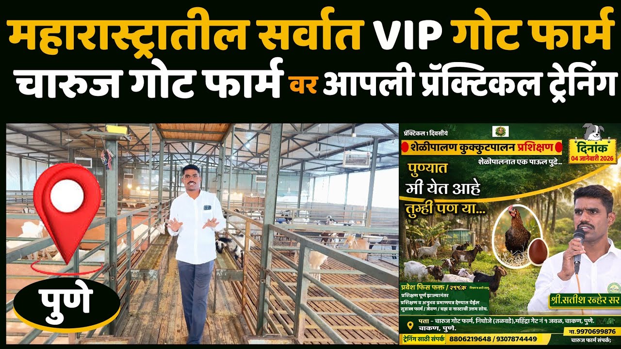 महाराष्ट्रातील सर्वात VIP फार्म वर आपली शेळीपालन कुक्कुटपालन प्रॅक्टिकल ट्रेनिंग. #trening #poultry 