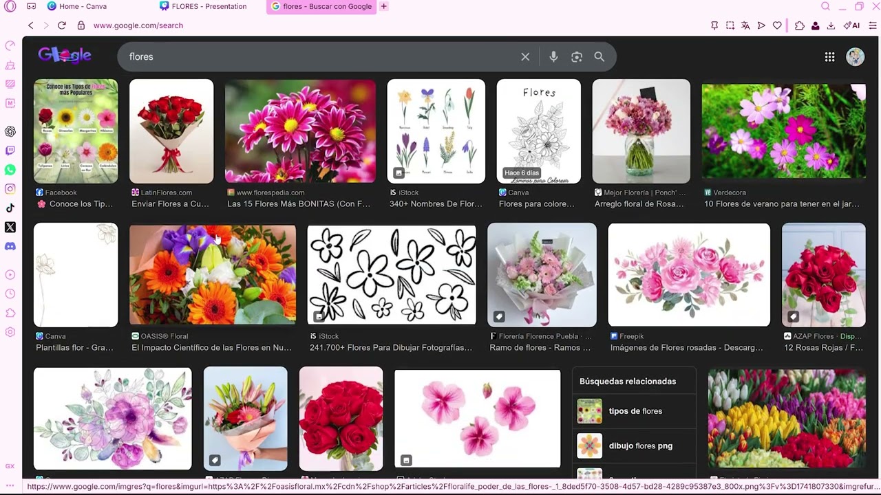 Tutorial - Como Usar Canva