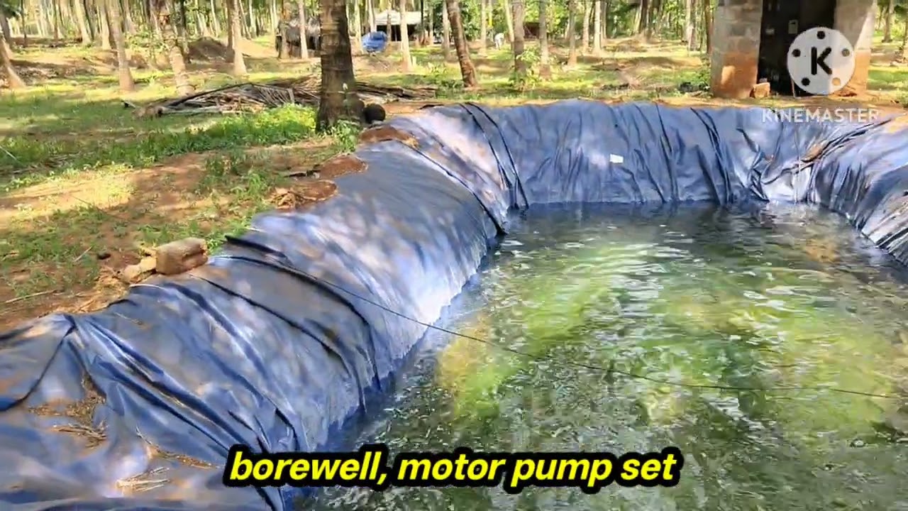 1.20 acres coconut farm for sale in kozhinjampara#kozhinjampara property #palakkadproperties