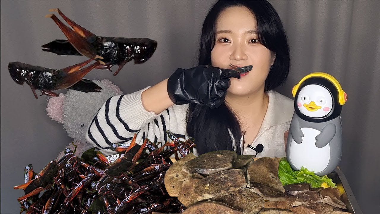 직접 잡은 고소한 메뚜기 튀김과 삶은 간 먹기!  Mukbang! fried grasshopper and boiled liver!
