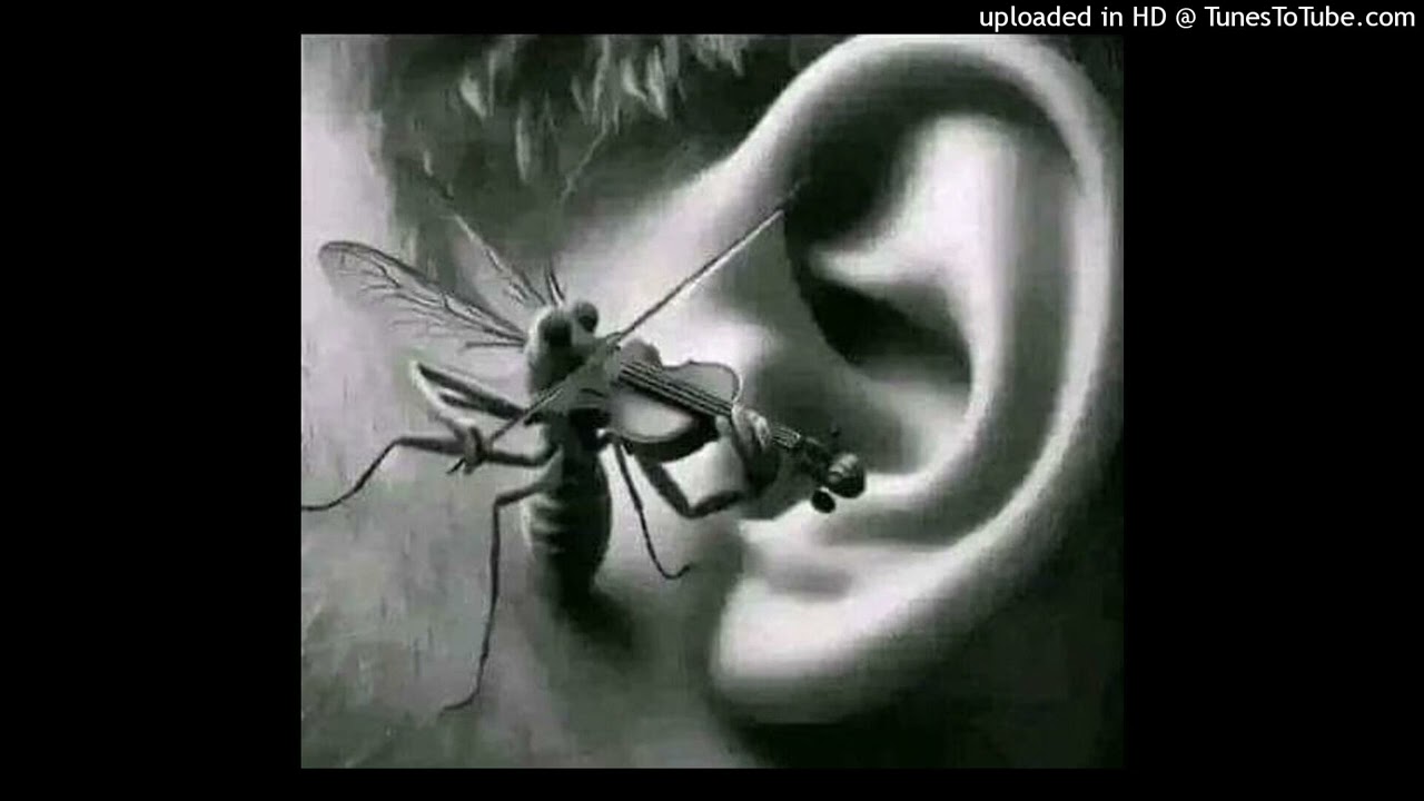 (FREE) Boolymon & Lazerdim700 Type Beat 