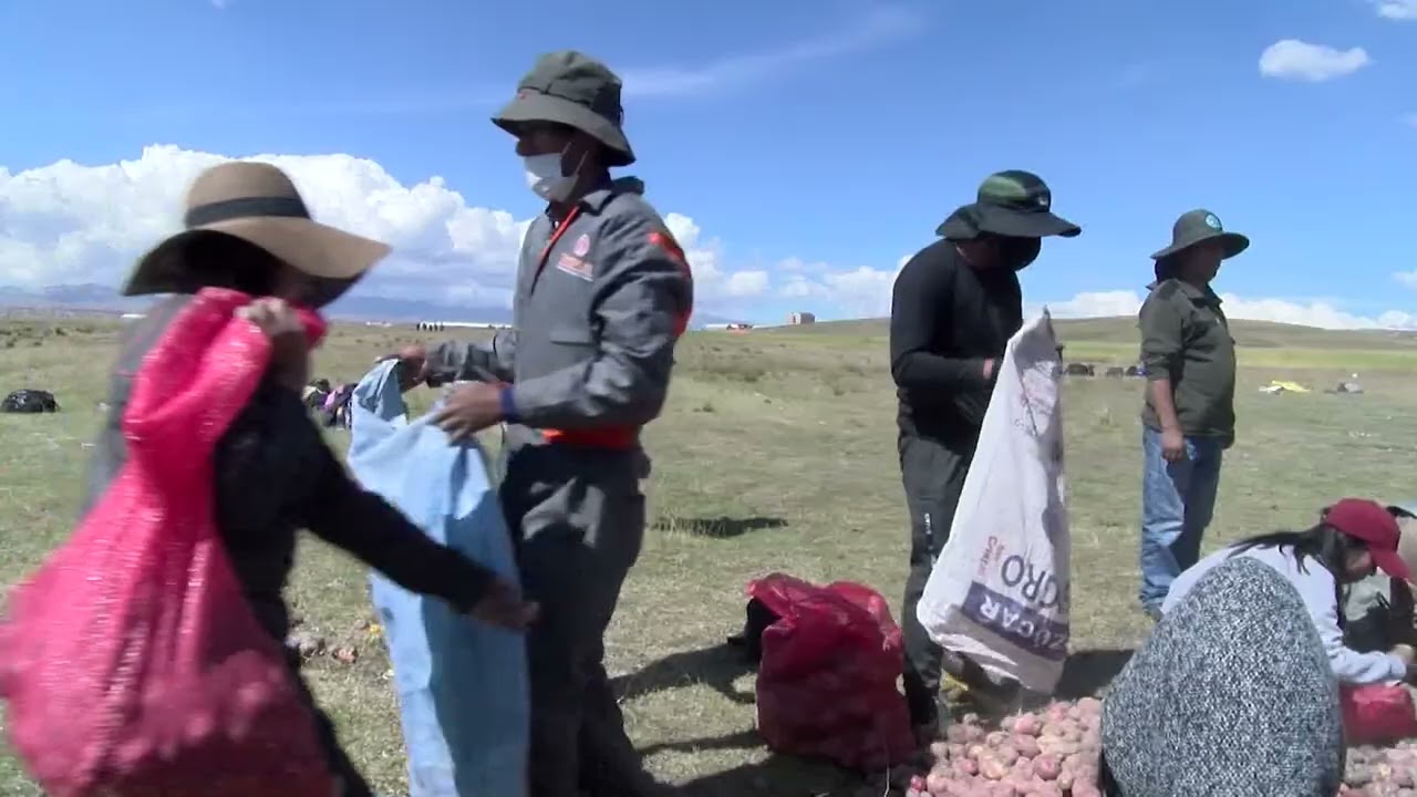 TRACTORES QUE BENEFICIAN LA PRODUCCIÓN EN KALLUTACA