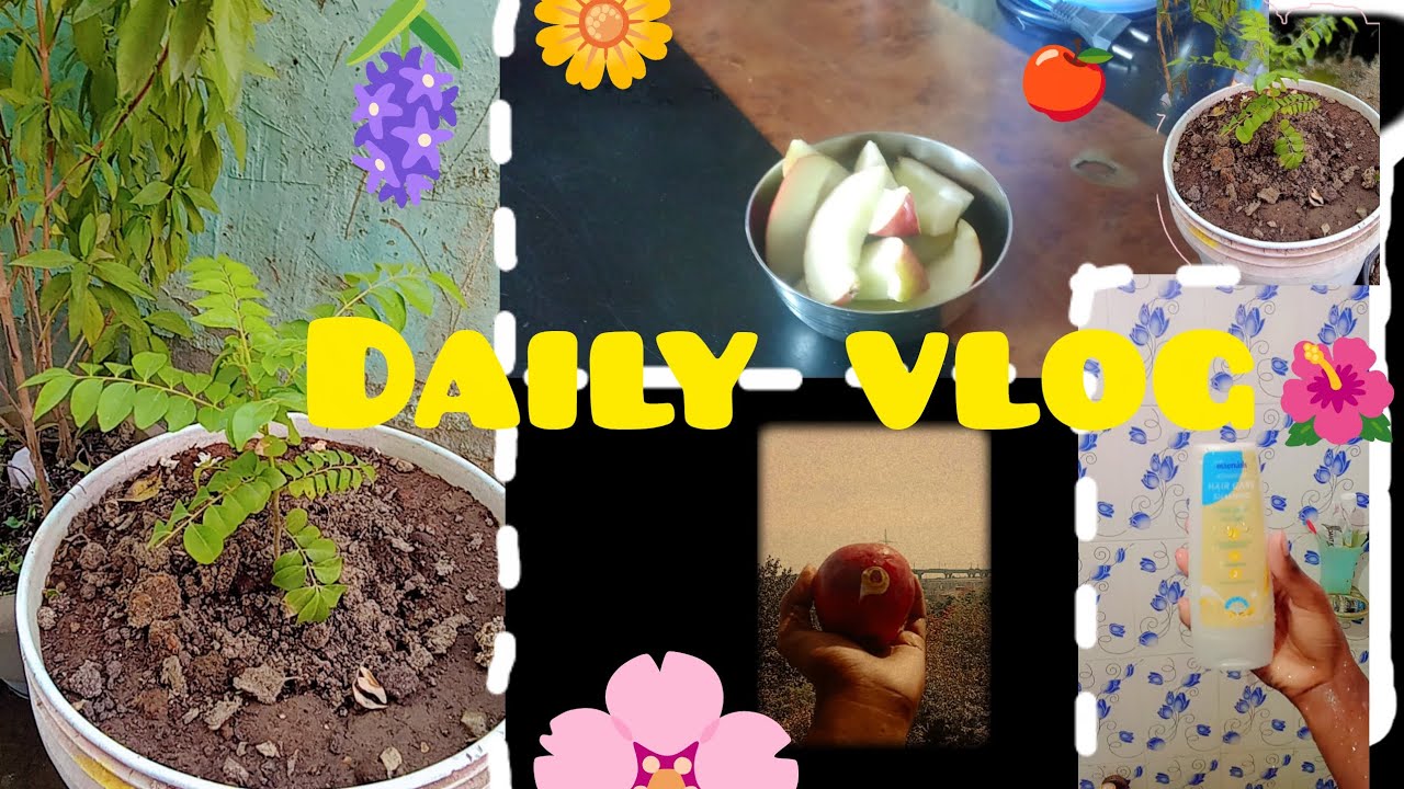 Daily vlog 😀🪟