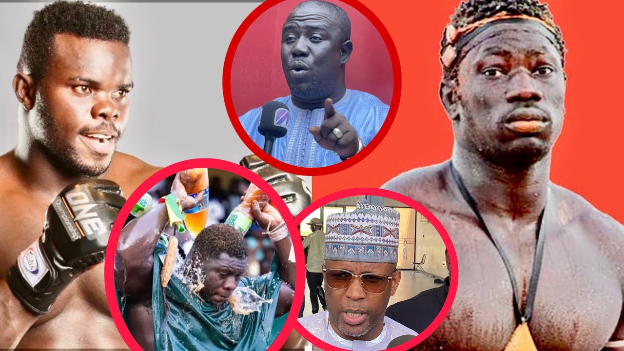 Hay hay🛑Bour guewel tothie na casse yi nak combat boy niang2 vs franc day ame par jambar 