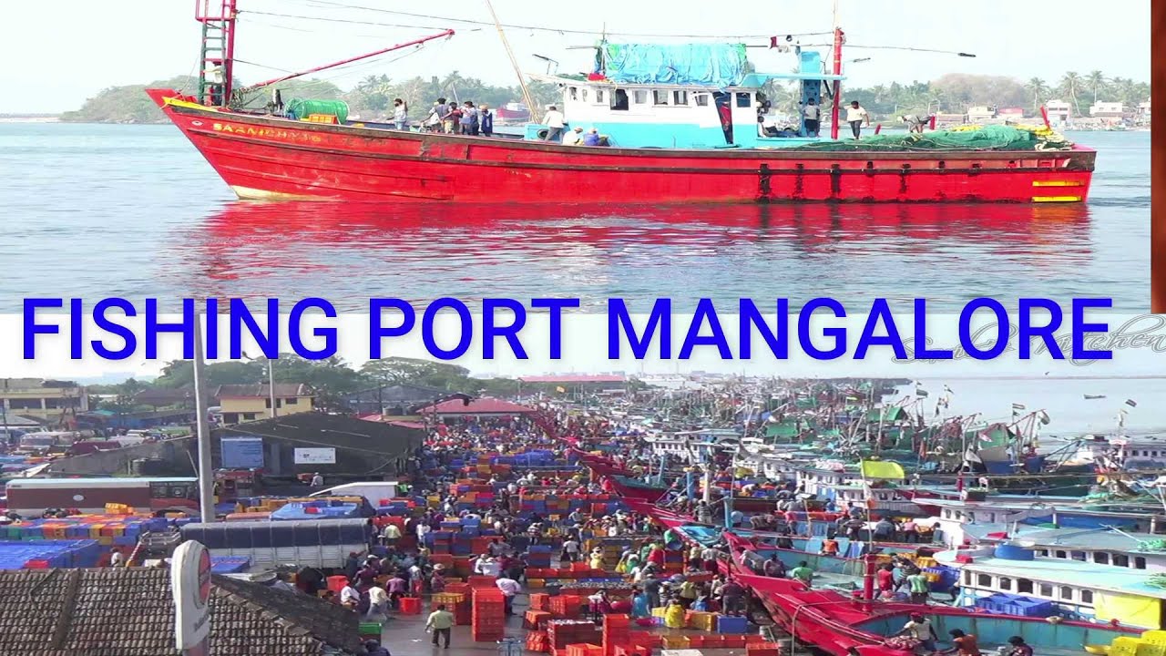 A Journey Through Fishing Port Mangalore(Dakke Bunder) with Best & Complete Details  !!!