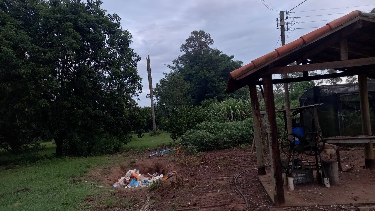 Bom dia na roça com Jesus Cristo 