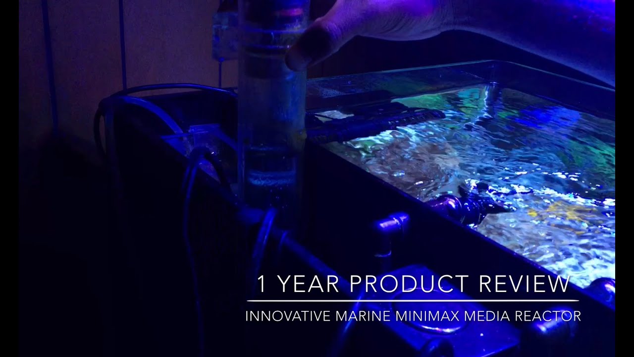 Innovative Marine MiniMax Media Reactor Desktop Size - 1 Year Review