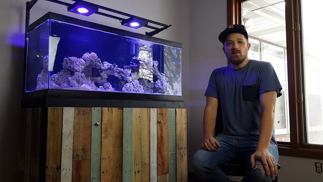 Salt Creep TV - DIY 75 Gallon Mixed Reef Tank and Stand/DIY LED Light Mount