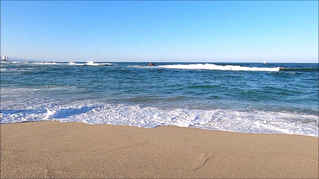 강릉 안목해변 파도영상