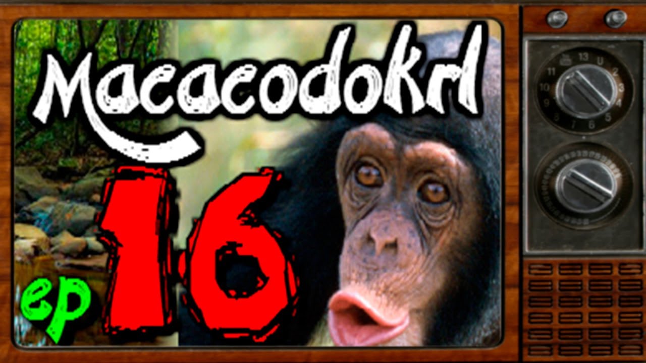 Ep.16 #macacodokrl 🐵 ↪ Summoners War BR