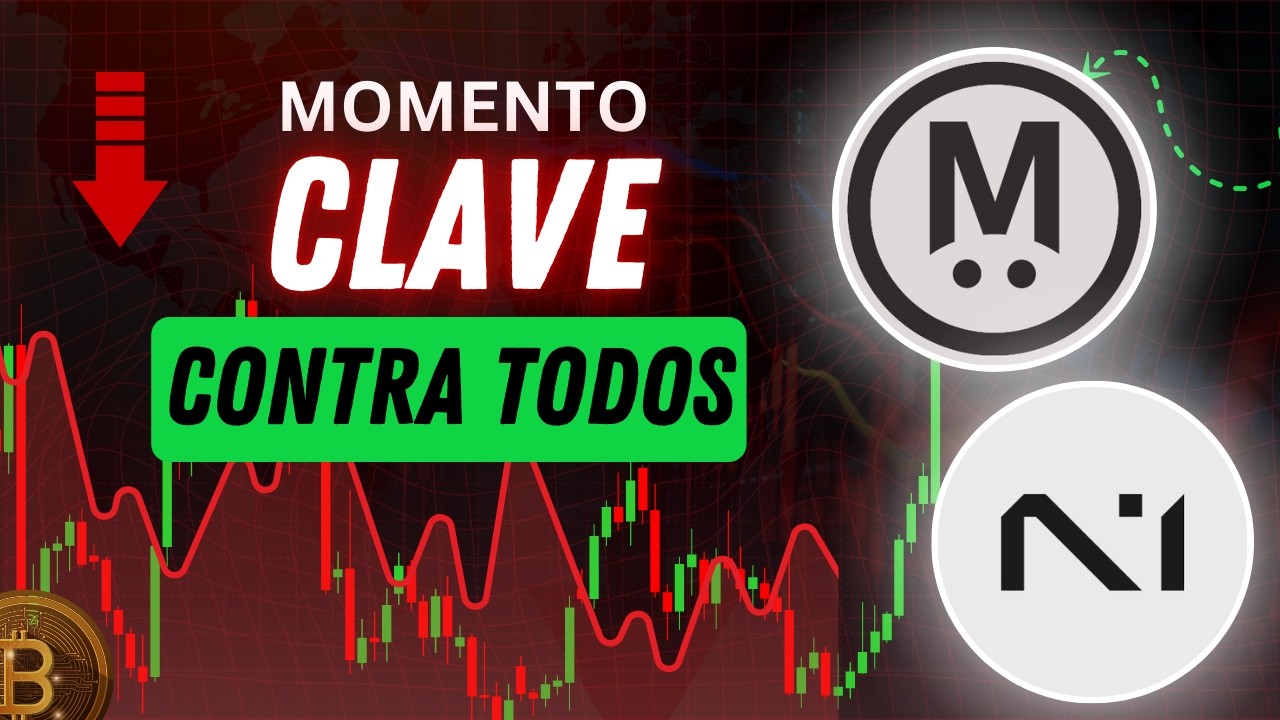 Las Oportunidades que Nadie Ve Cuando Cripto Cae