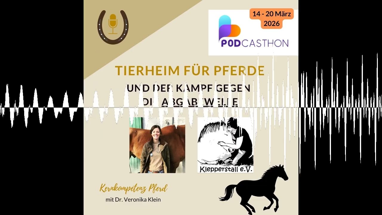 Tierheim für Pferde - Der verzweifelte Kampf gegen die Abgabewelle.