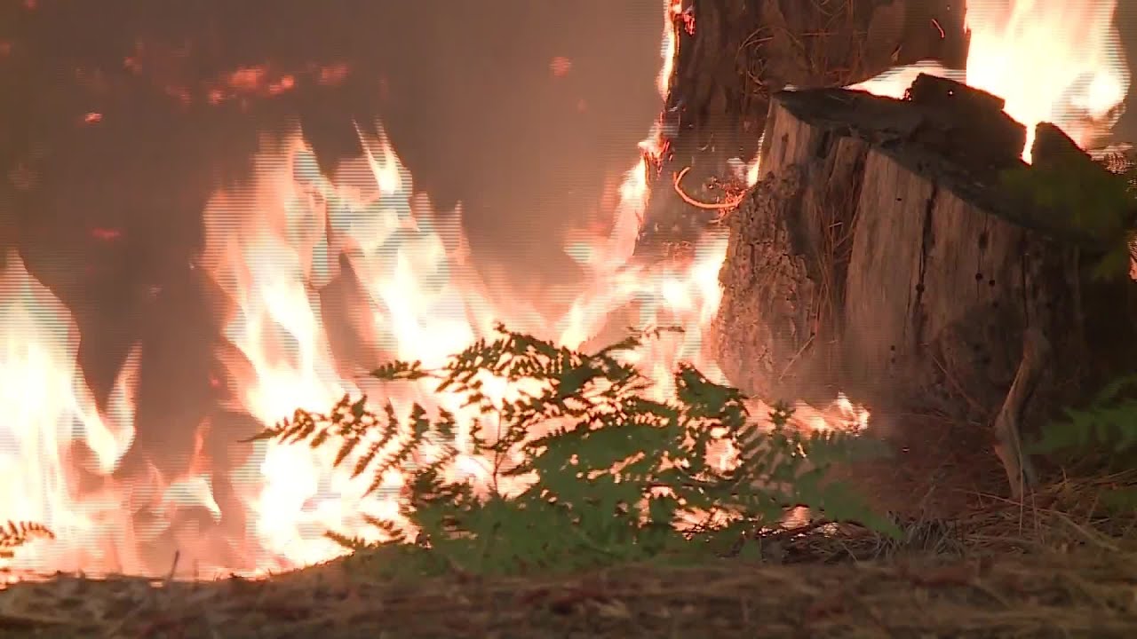 Update on the Caldor Fire in Northern California