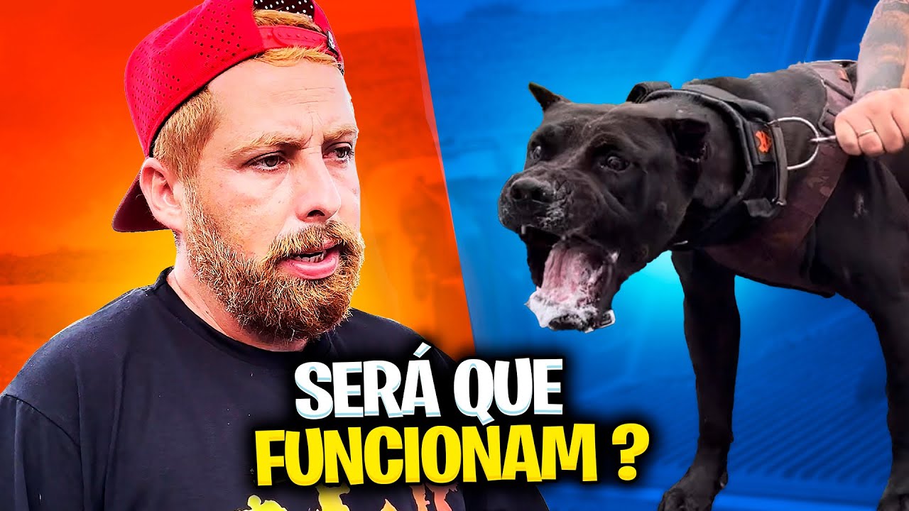 TESTARAM O TEMPERAMENTO DA SINTRA