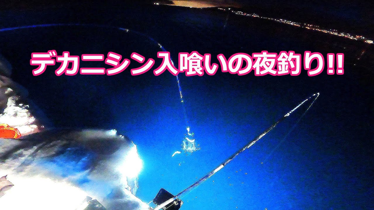 【北海道石狩湾・小樽釣り】小樽でデカニシン入喰いの夜釣り!!　2025.2.2　北国の生活（ニシン釣り、自動シャクリ機、サビキ釣り、投光器、小樽港）