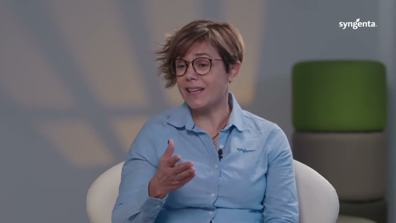 SYNGENTA 7 Precios y contratos