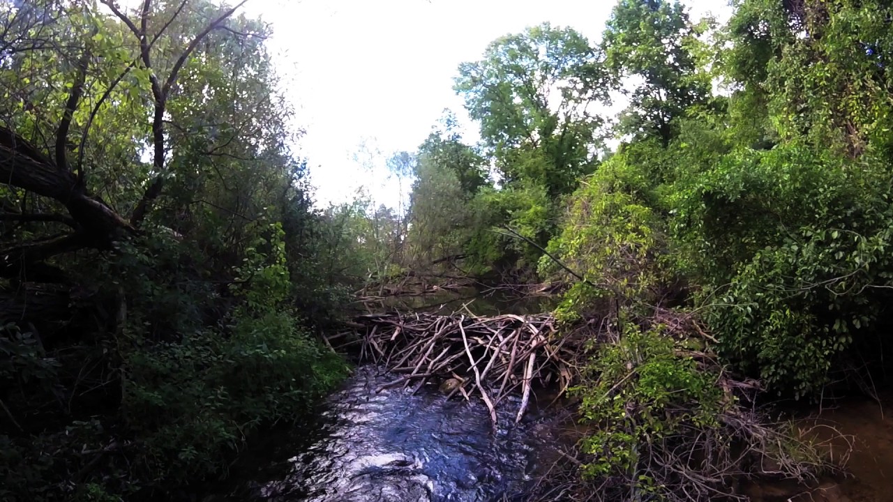 Paint Creek Fly Fishing