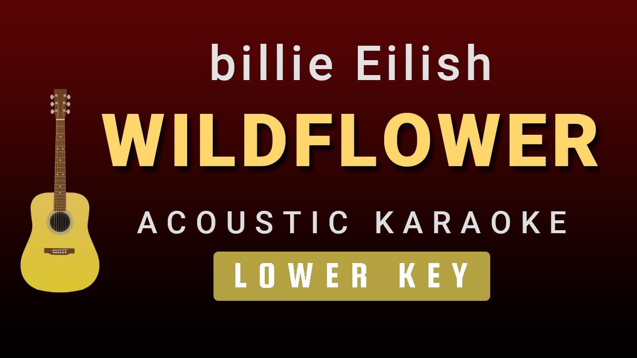 WILDFLOWER - Billie Eilish (Male / Lower Key Acoustic Karaoke)