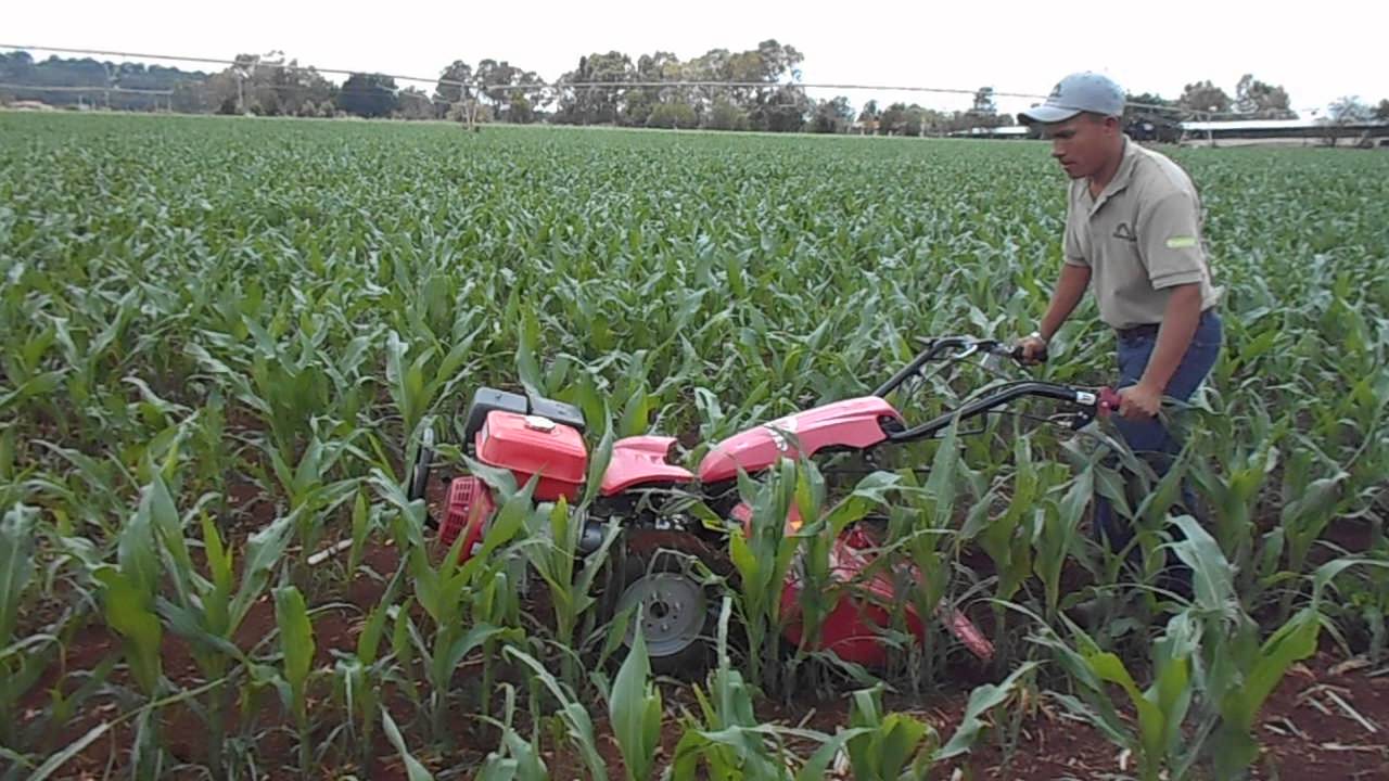 Motocultor con escarda