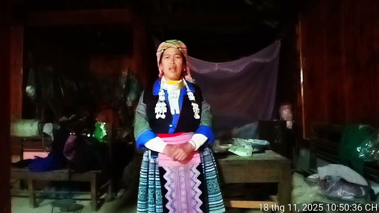 19 tháng 11, 2025