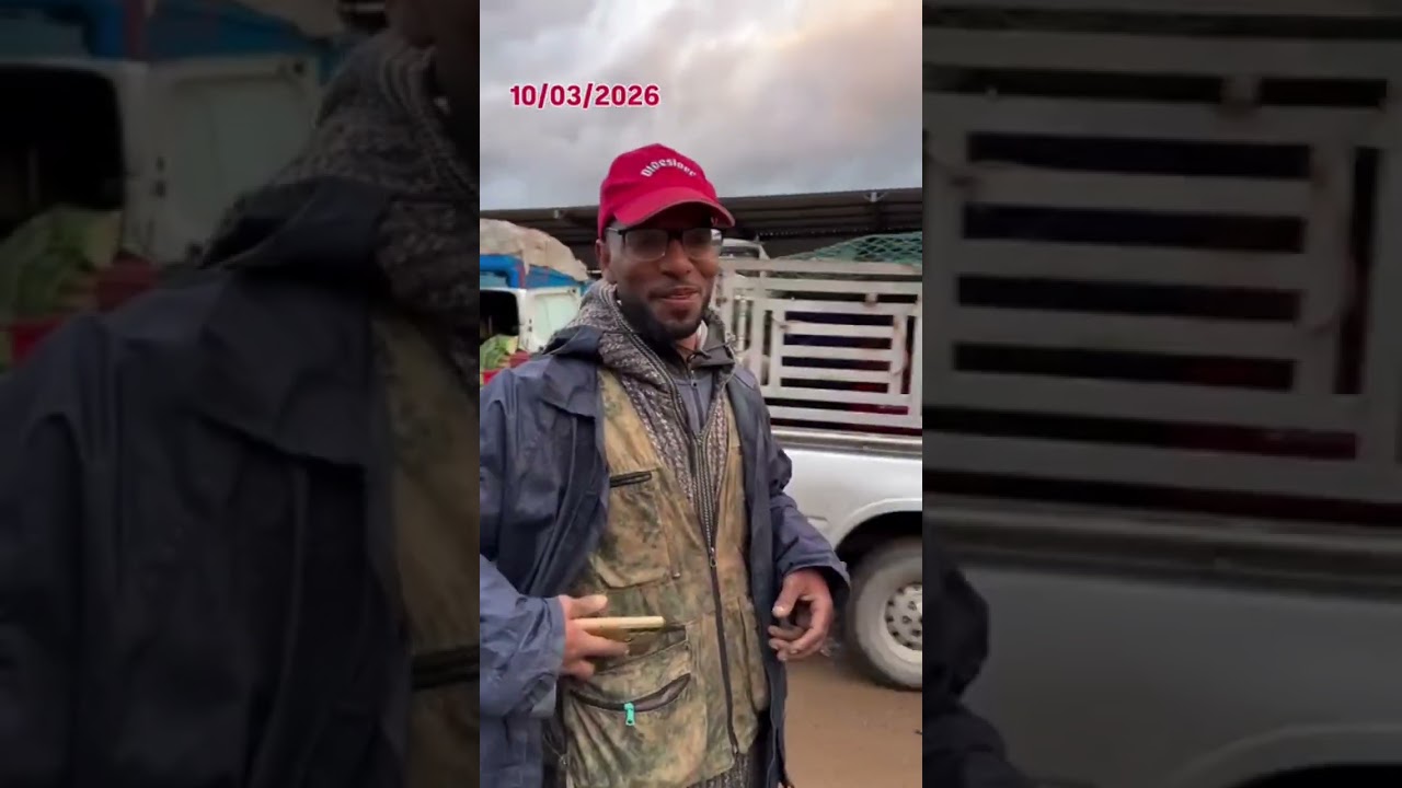 12مارس 2026 من سوق الجملة للخضر والفواكه الدار البيضاء الكبرى 