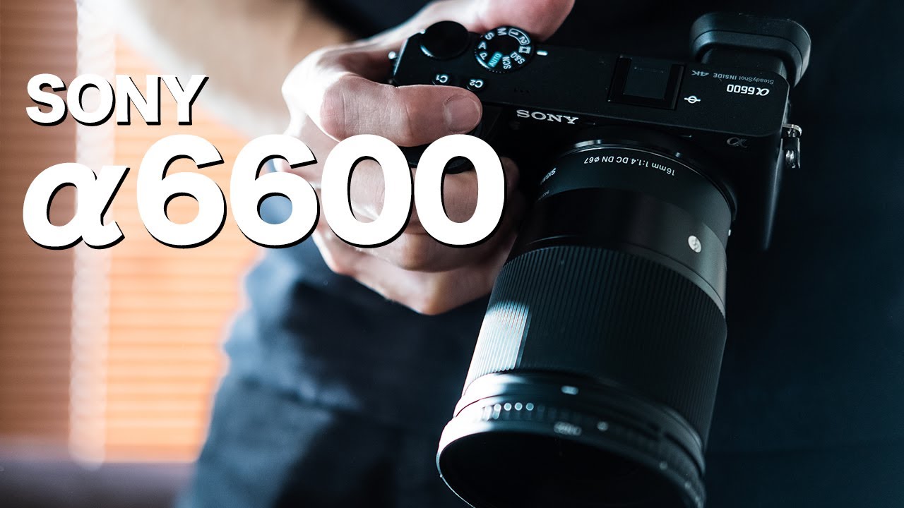SONY a6600の動画機能レビュー 手ぶれ補正はどう？作例を交えて紹介【レンズ SIGMA 16mm F1.4】