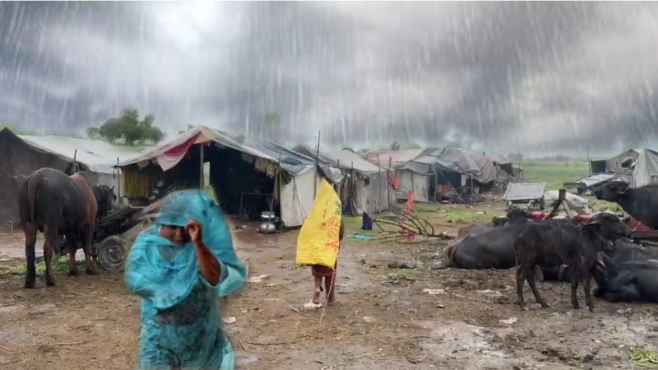 Beautiful Rain walk in Village Punjab |Thunderstorm Nomadic Looks Lock 