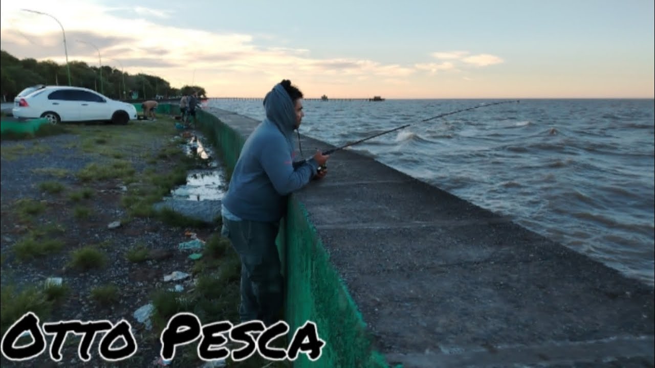 🇦🇷 PESCA y COCINA a orilla del Río de la Plata #pesca #lineadepesca #riodelaplata 