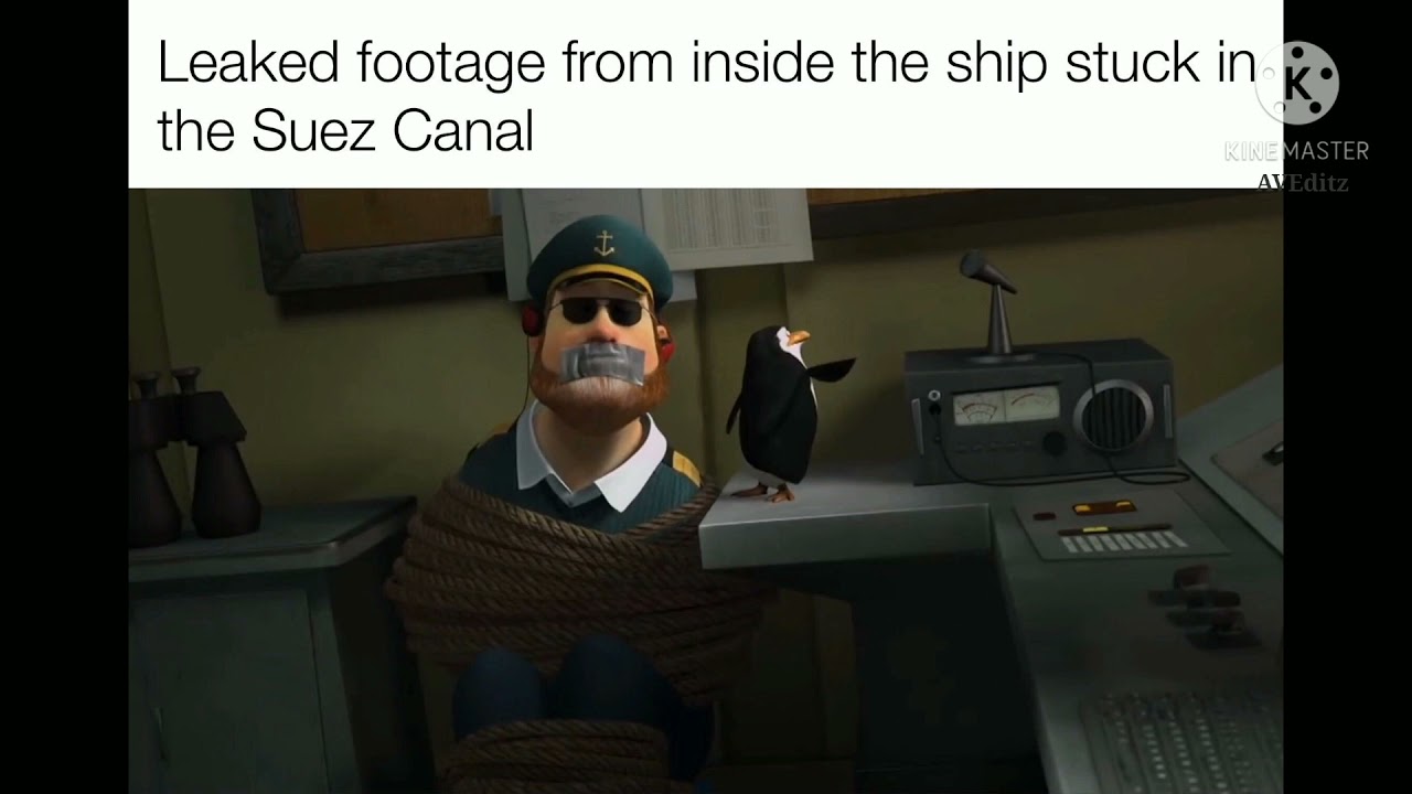 100+ Suez Canal memes from all over world in 4 minutes 🤣🤣