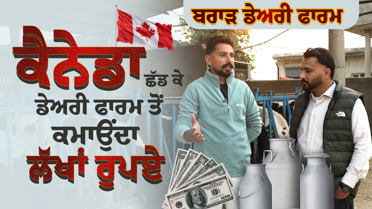 ਕੈਨੇਡਾ ਦੀ ਨੌਕਰੀ ਛੱਡ ਕੇ ਡੇਅਰੀ ਫਾਰਮ ਤੋਂ ਕਮਾਉਂਦਾ ਲੱਖਾਂ ਰੁਪਏ #dairyfarm #MilkBusiness#yt#youtubevideo