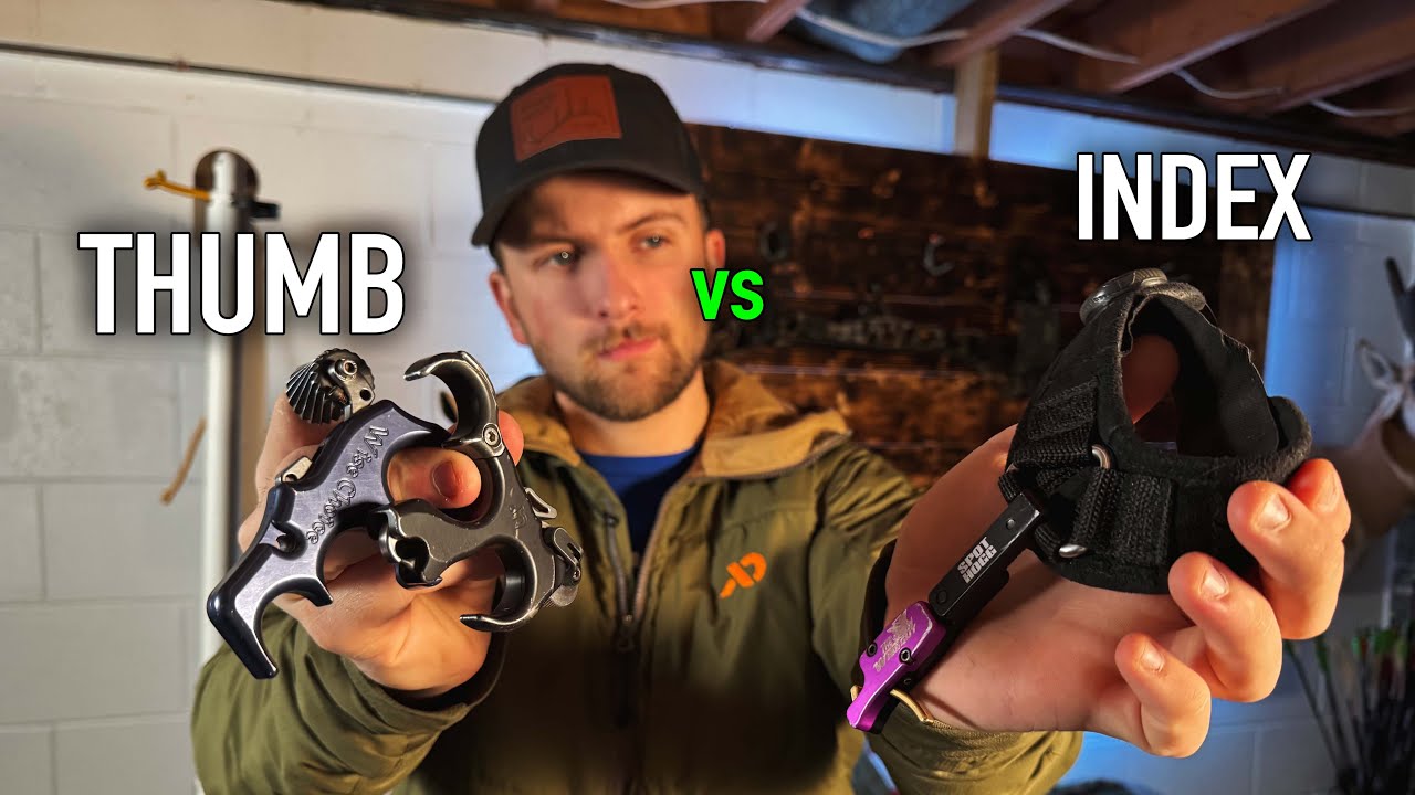 ULTRAVIEW против CARTER против SPOT HOGG | Релизы Archery