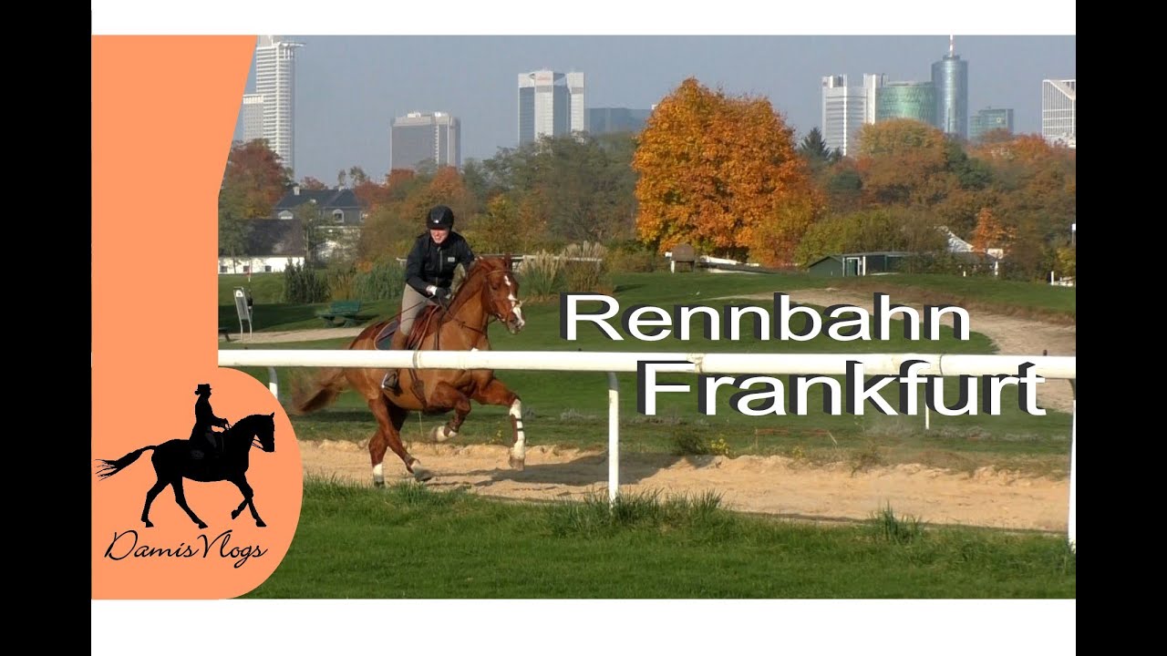Rennbahn Frankfurt | Oktober 2015