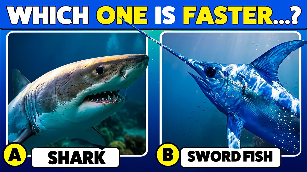 🐠 How Well Do You Know Marine Animals? 🌊🧠 Ocean Trivia Challenge