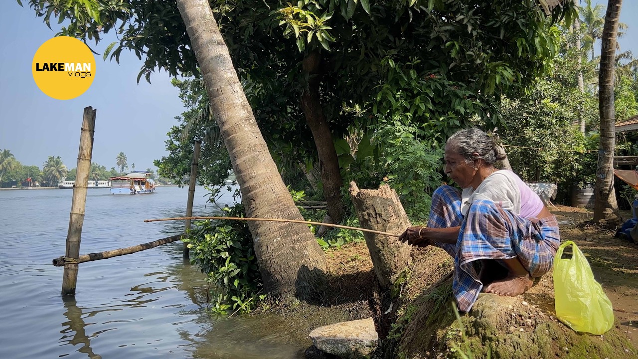 നാടൻ ചൂണ്ടയിൽ ആറ്റുമീനെ കിട്ടി 🎣. Fishing I Village Fishing I Lakeman Vlogs #fishing #fishingvideo