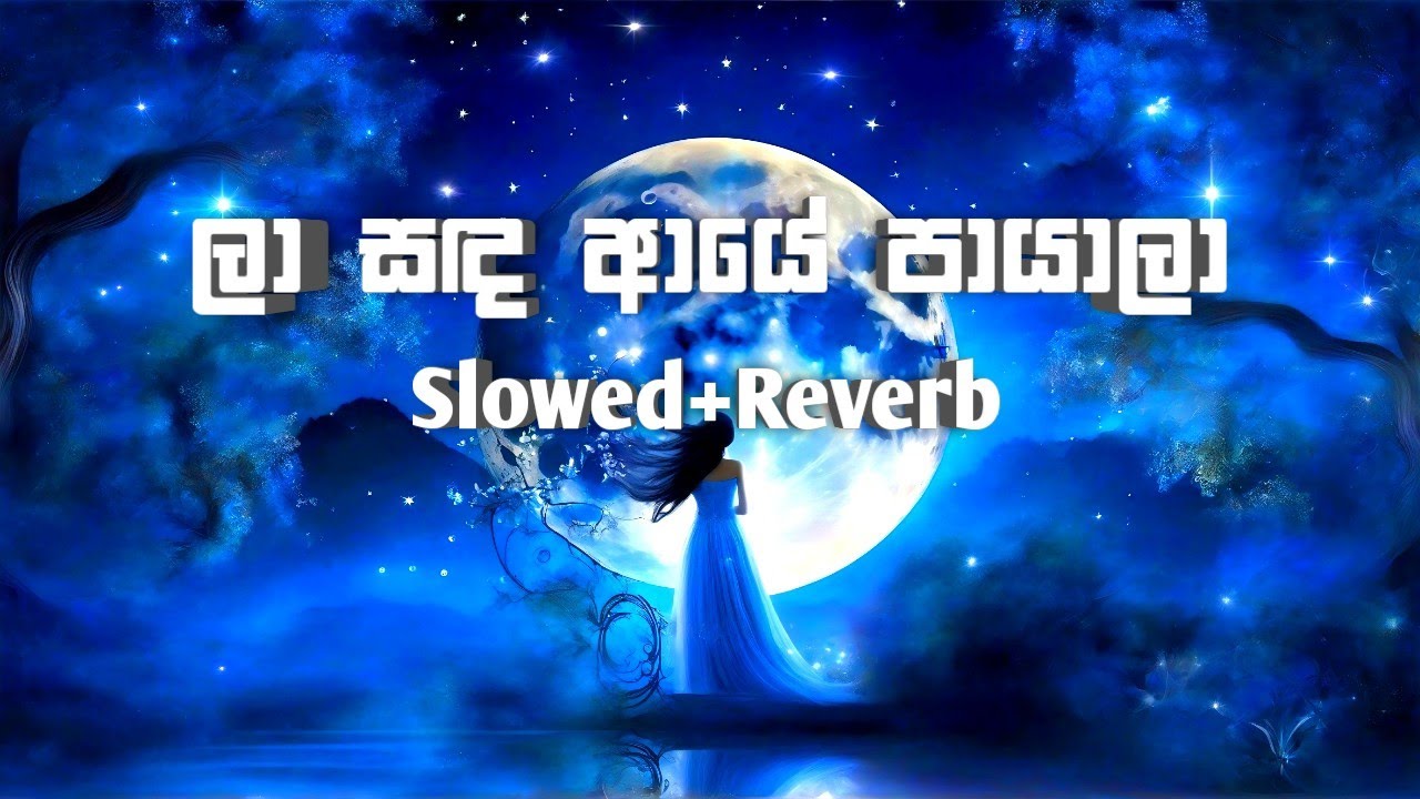 La Sanda Aye Payala ( Slowed+reverb ) | ලා සඳ ආයේ පායාලා | Samitha Mudunkotuwa
