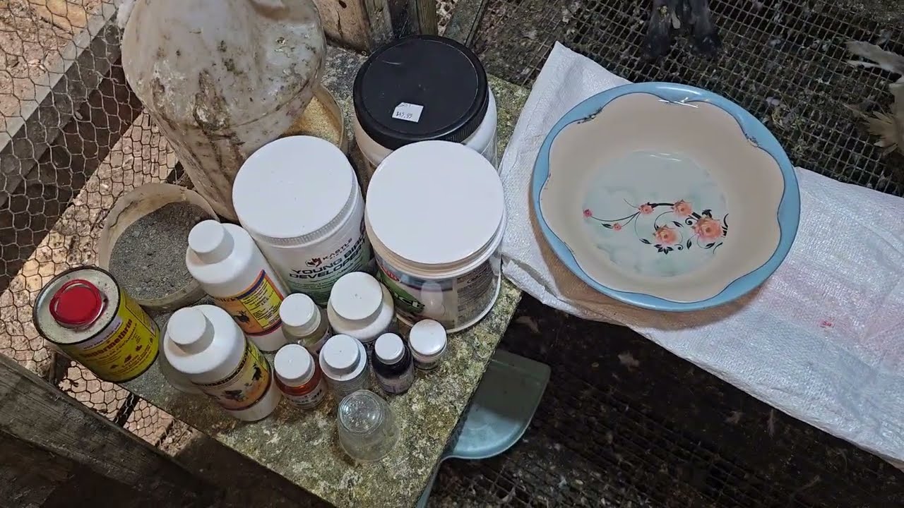 Добавки для разведения голубей / Корм ​​/ Минералы / Витамины #лайк #подписаться