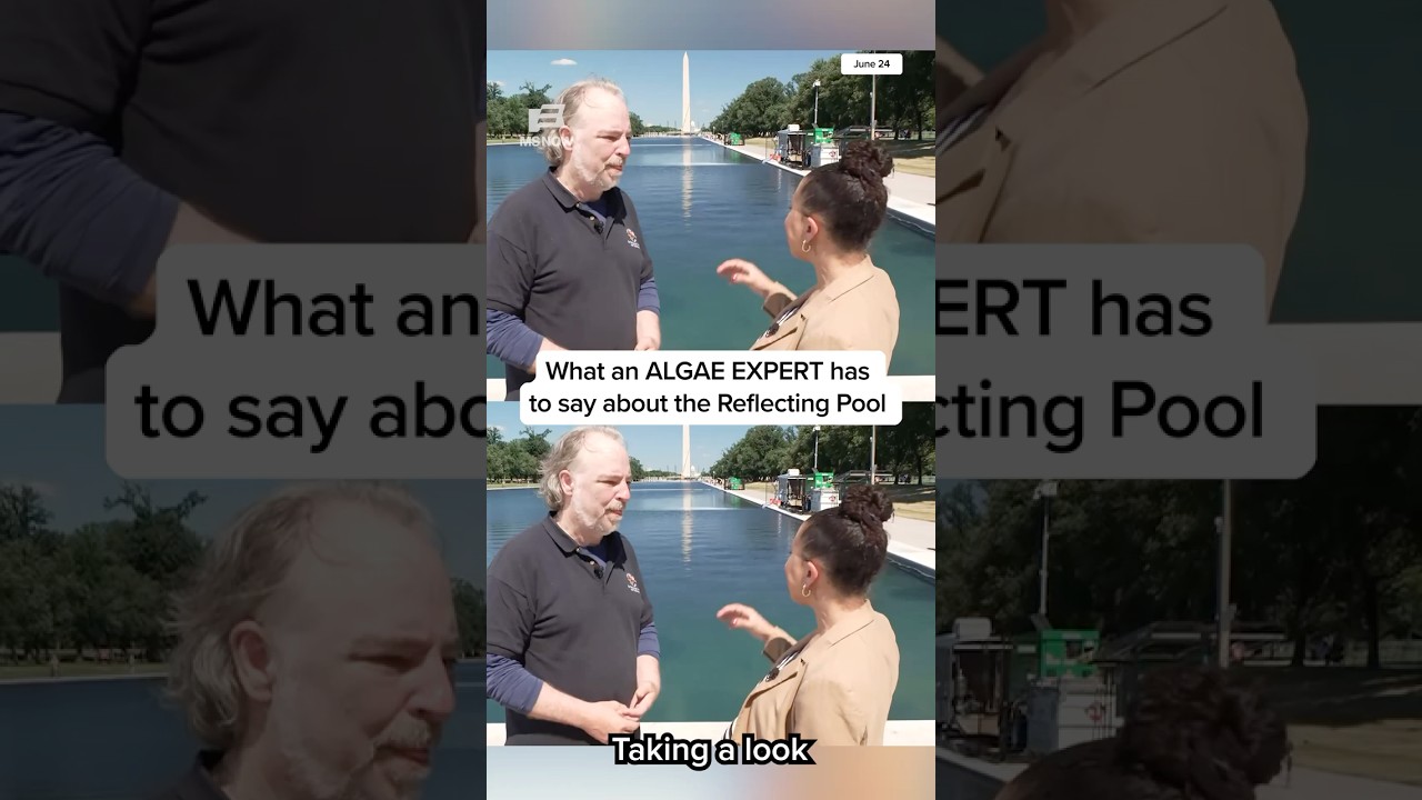 What an ALGAE EXPERT has to say about the Reflecting Pool
