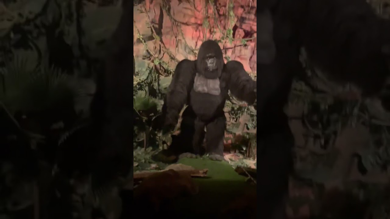Огромный Кинг Конг🙈🦍 в Джунглях (Ailand) развлекательный центр  Астаны🇰🇿