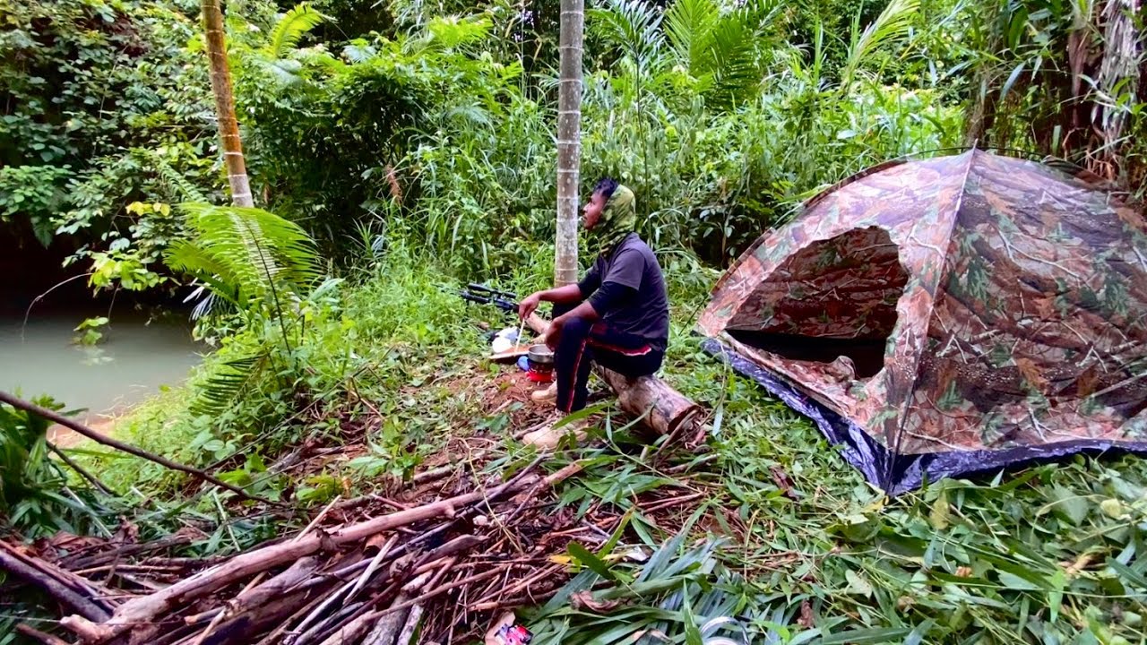Solo Camping by the River | Catch & Cook Small River Fish #camping #bushcraft #survival