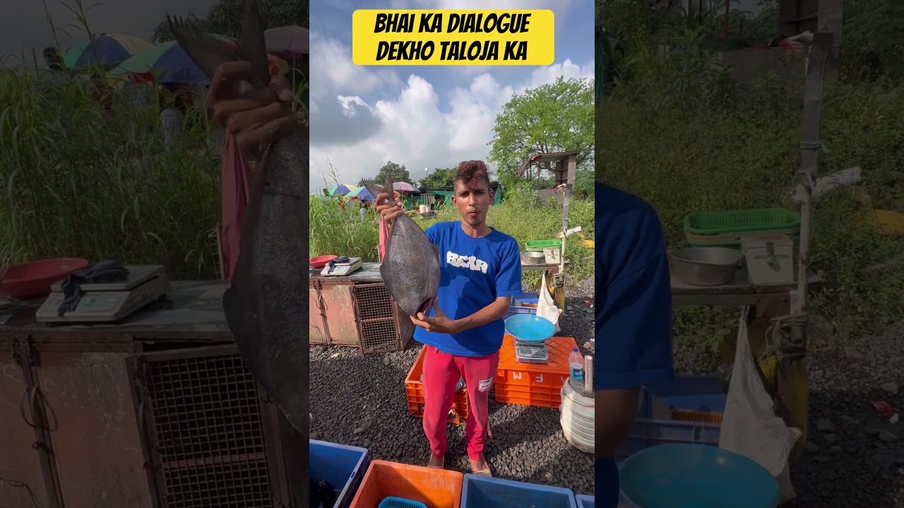Taloja Fish Market | Mumbai Fish Market | Wholesale & Retail Fish Market