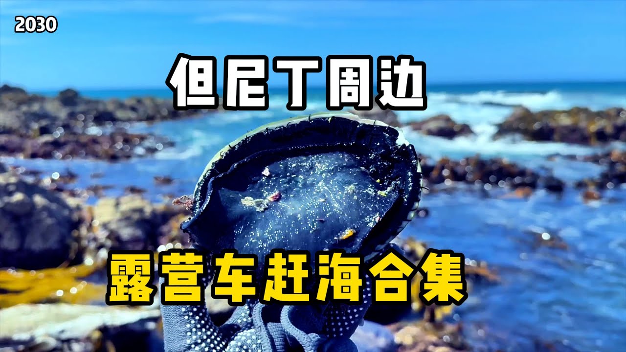 新西兰南岛，露营车旅居，但尼丁周边赶海合集，第2030期