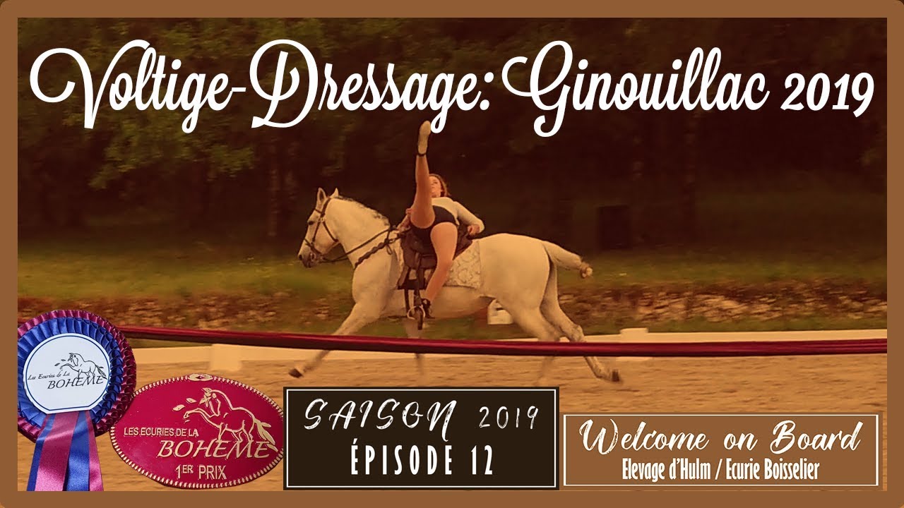 🧘 VOLTIGE et DRESSAGE à GINOUILLAC 🧘 Concours de Dressage et spectacle équestre 🦄