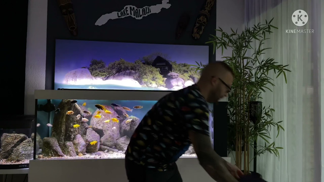 Water Change Mbuna 