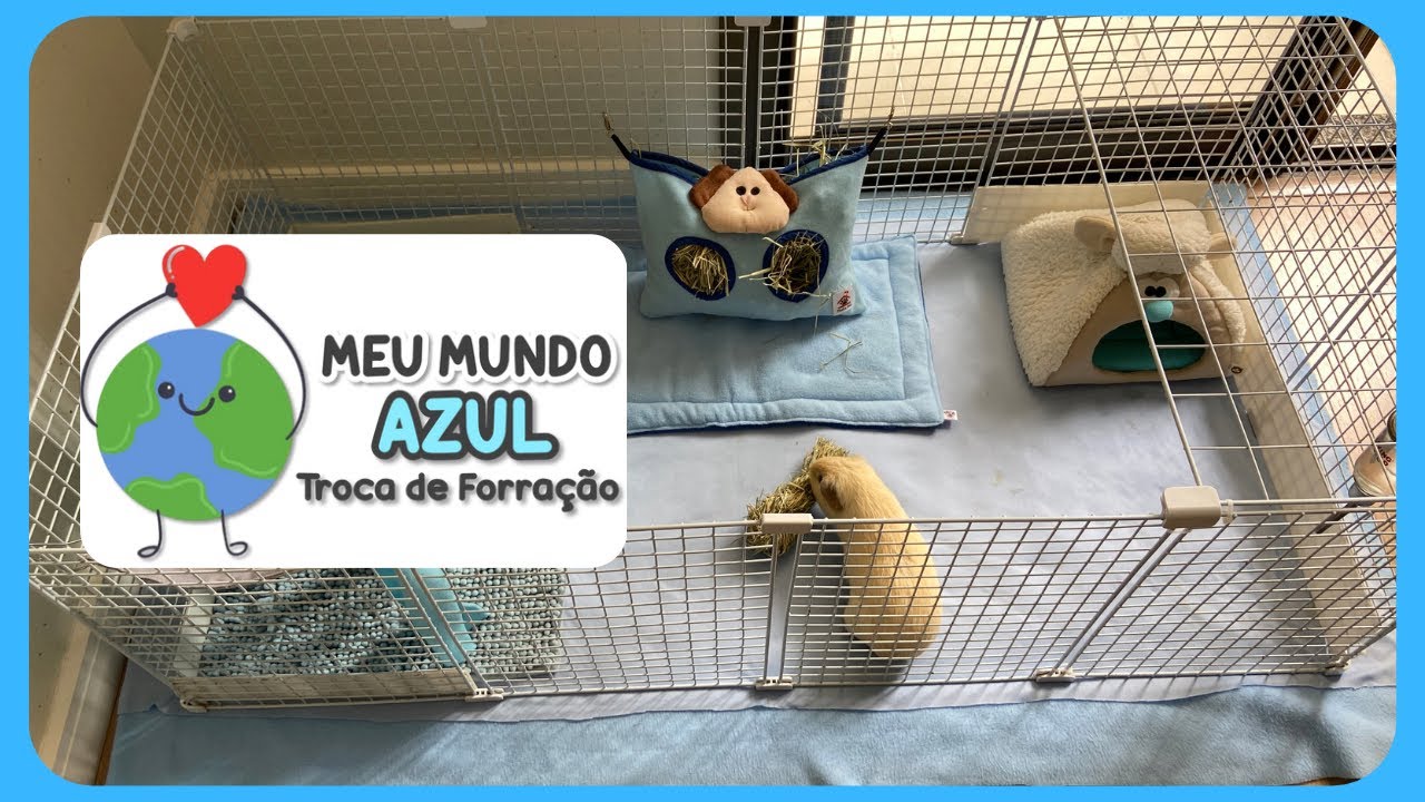 Troca de Forração | Limpeza