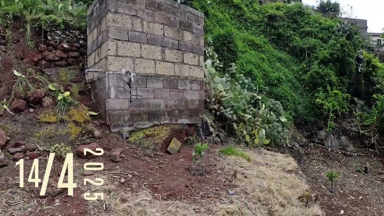 Recuperando un Bancal en Anaga 🌿 | Limpieza para Agricultura en el Batán | Cap11